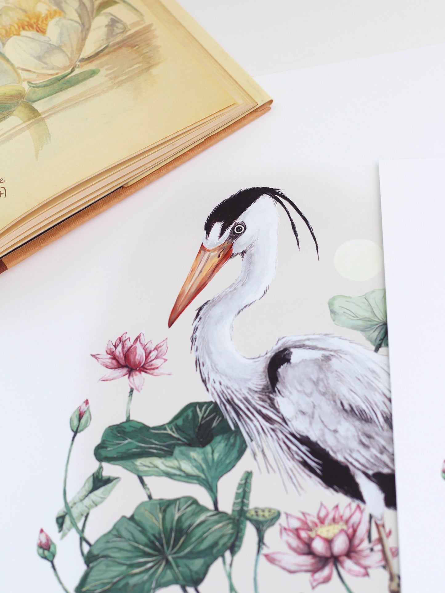 Water Bird Print