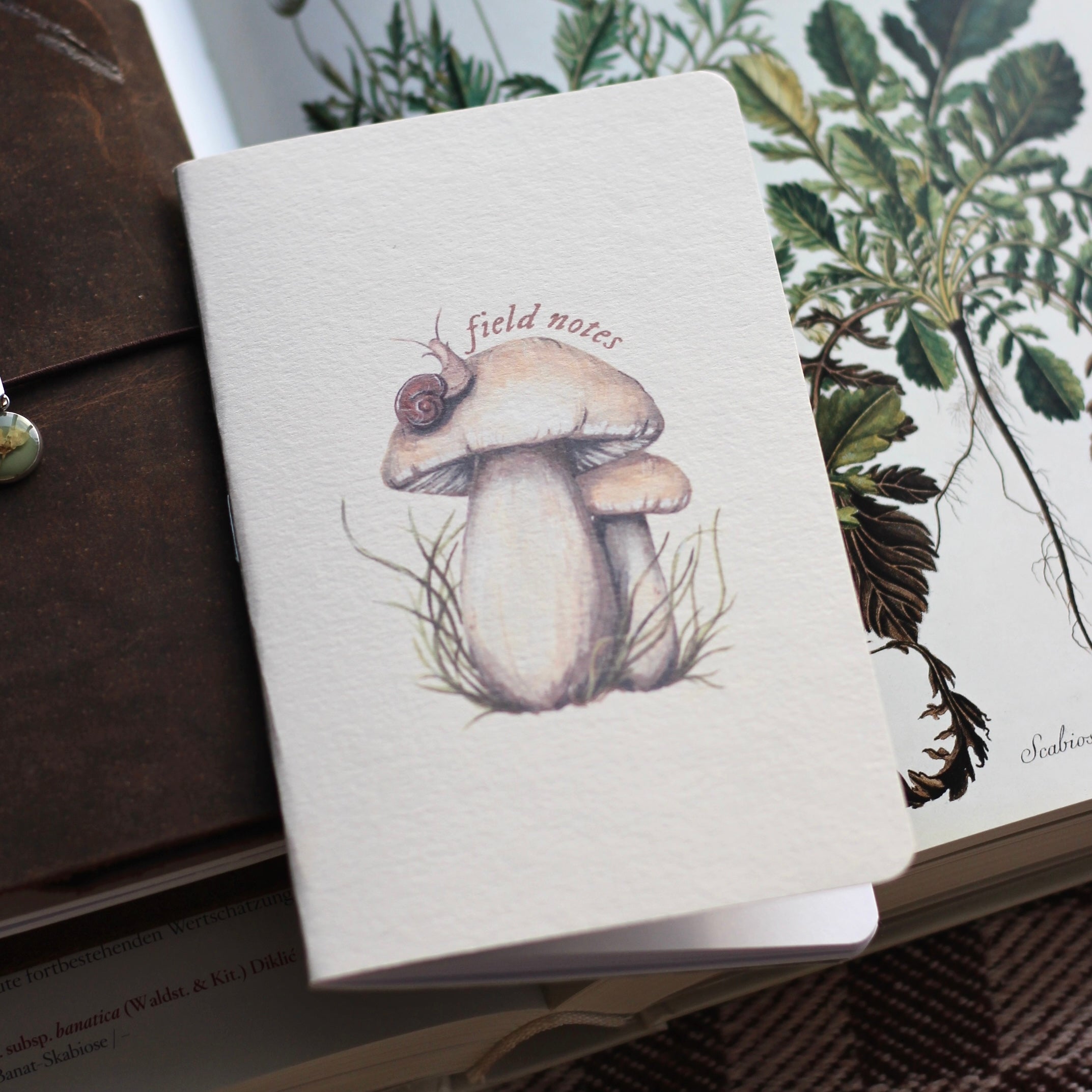 Mushroom Pocket Notebook