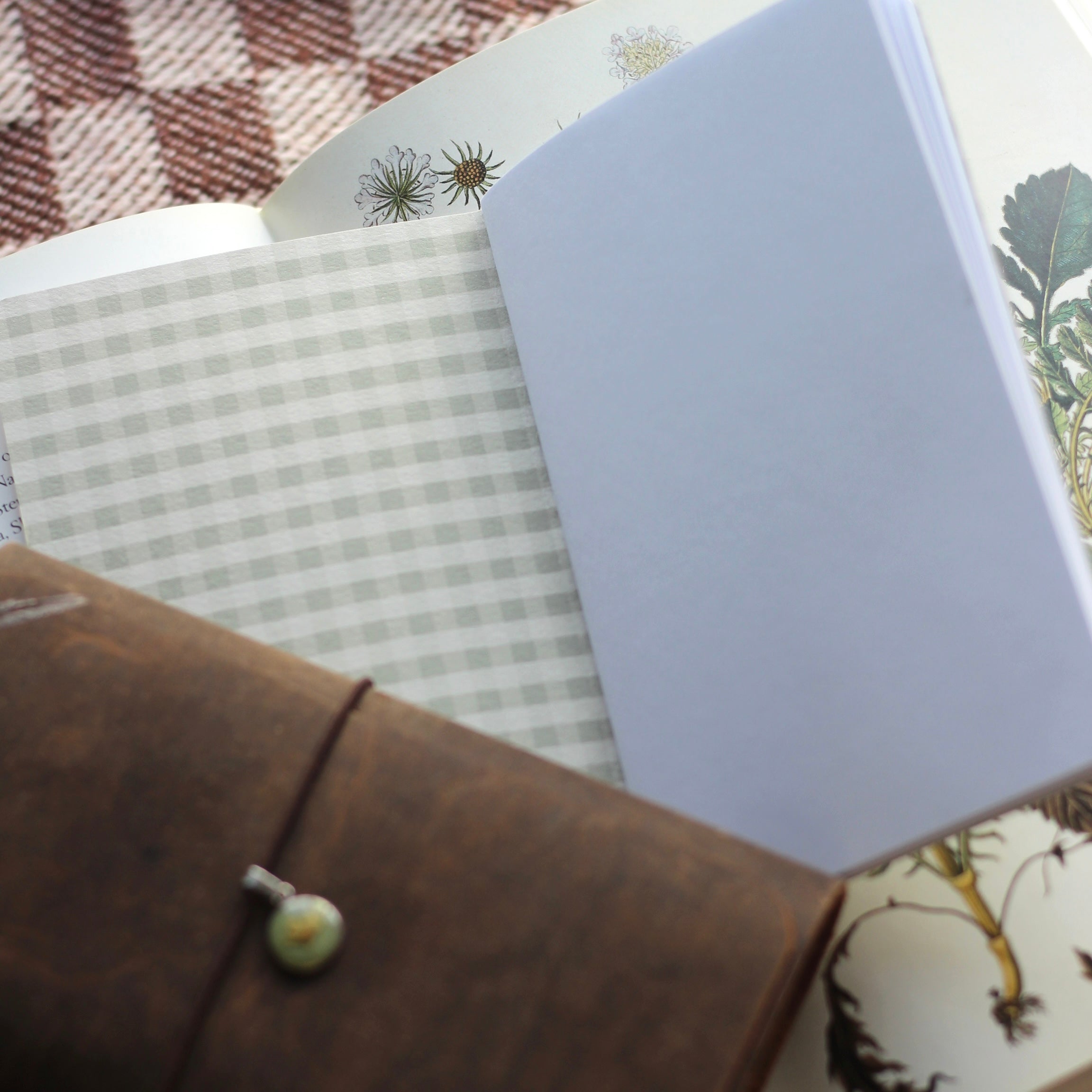 Mushroom Pocket Notebook