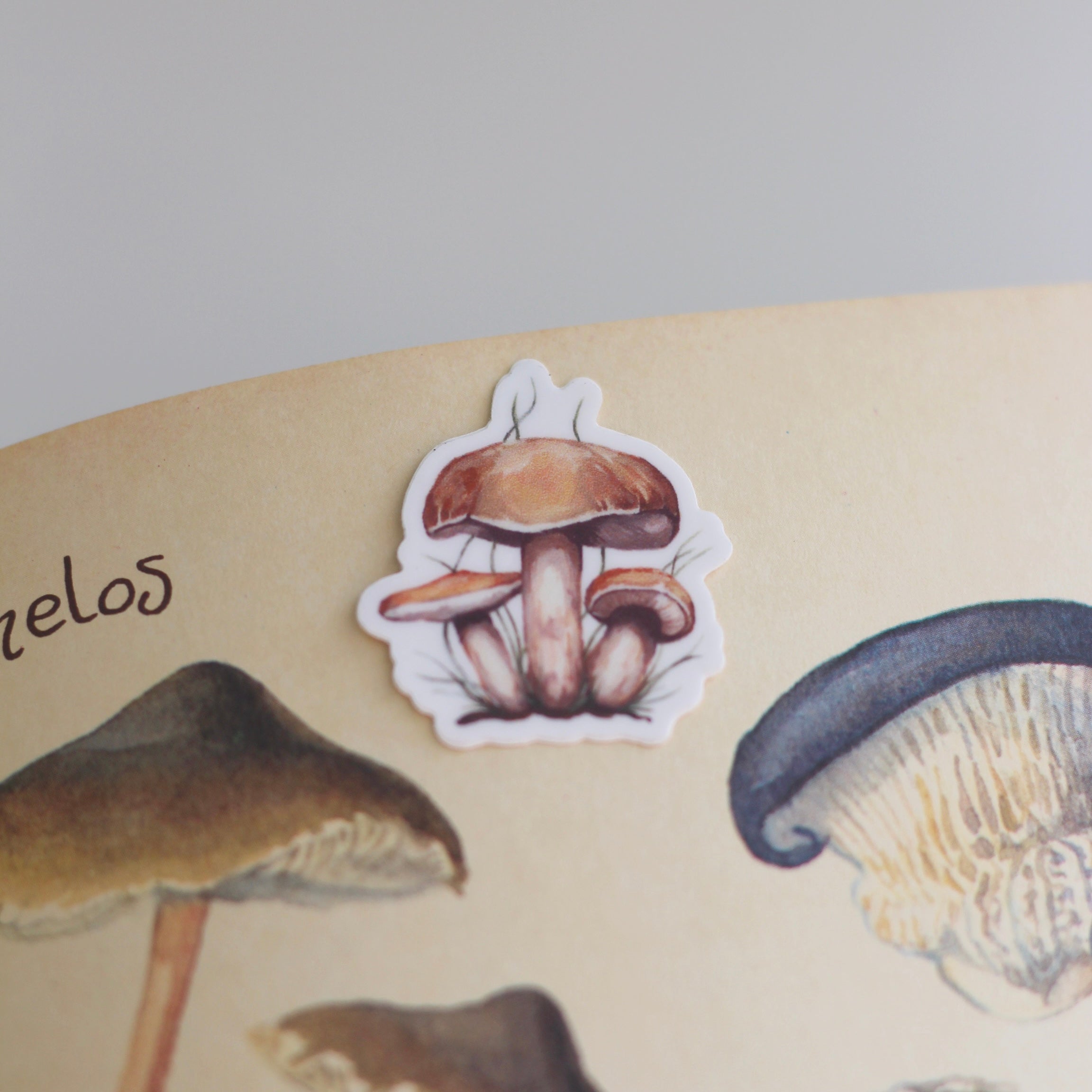 Mushroom Sticker