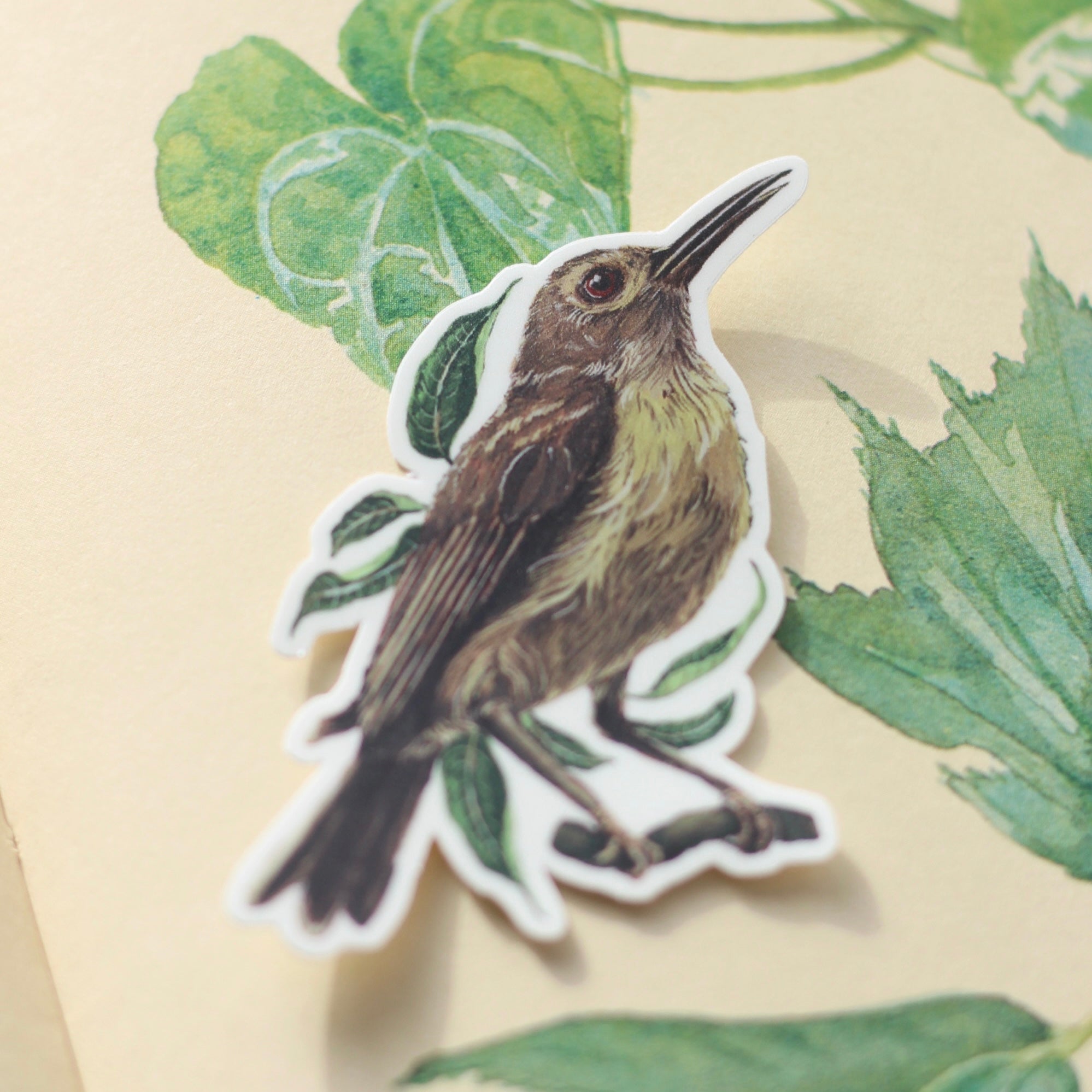 Sunbird Sticker