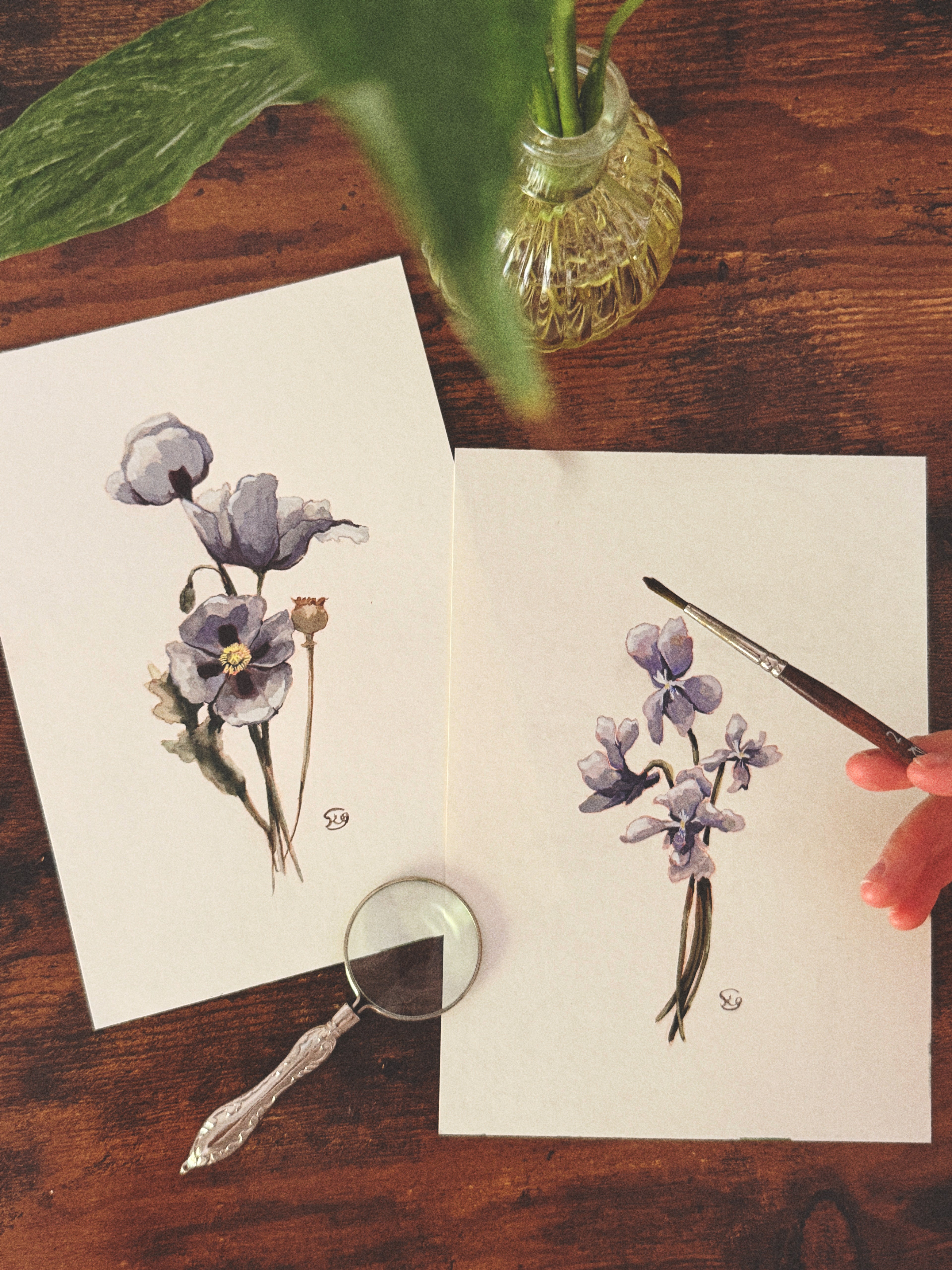 Periwinkle Poppy & Violet Studies