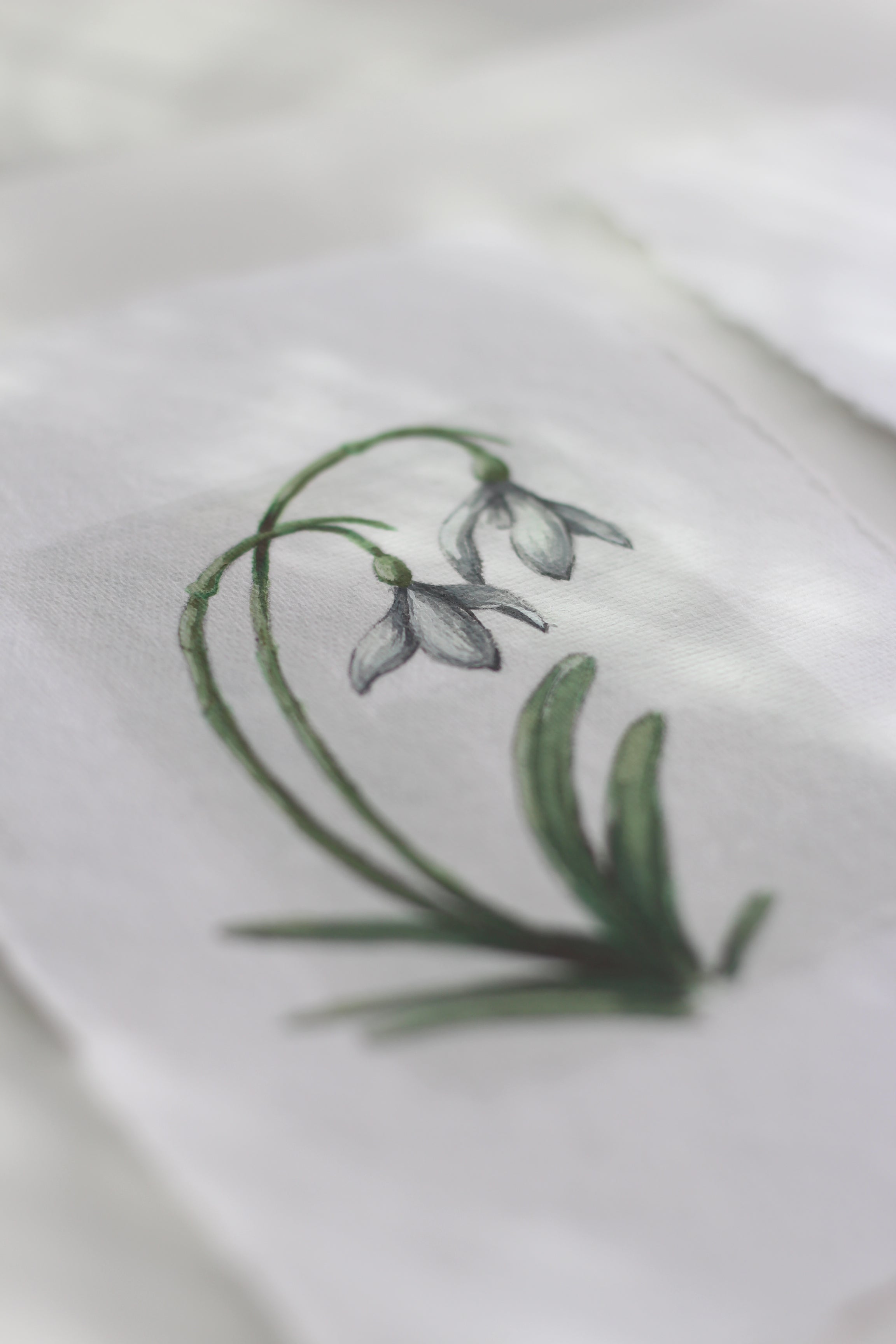 Snowdrop 01 & 02 Originals (A6)