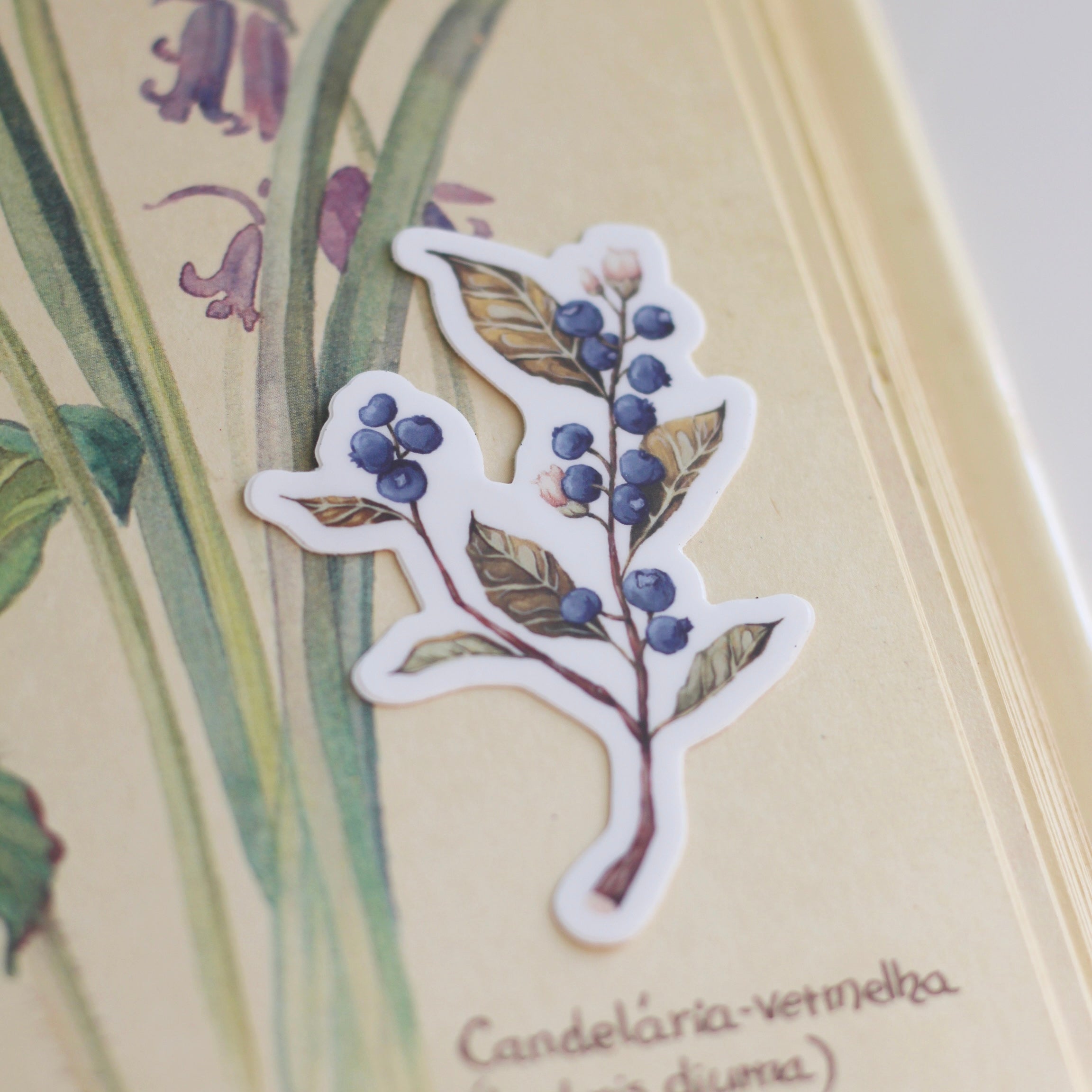 Autocollant Myrtille