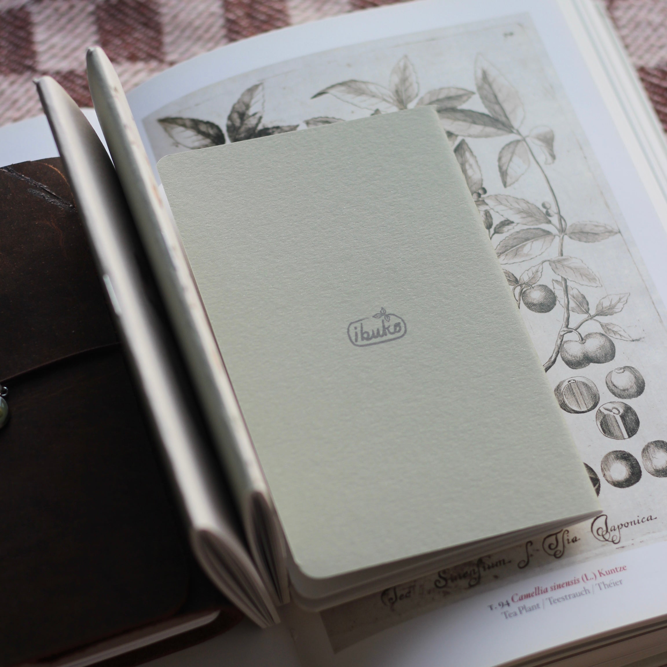 Mushroom Pocket Notebook