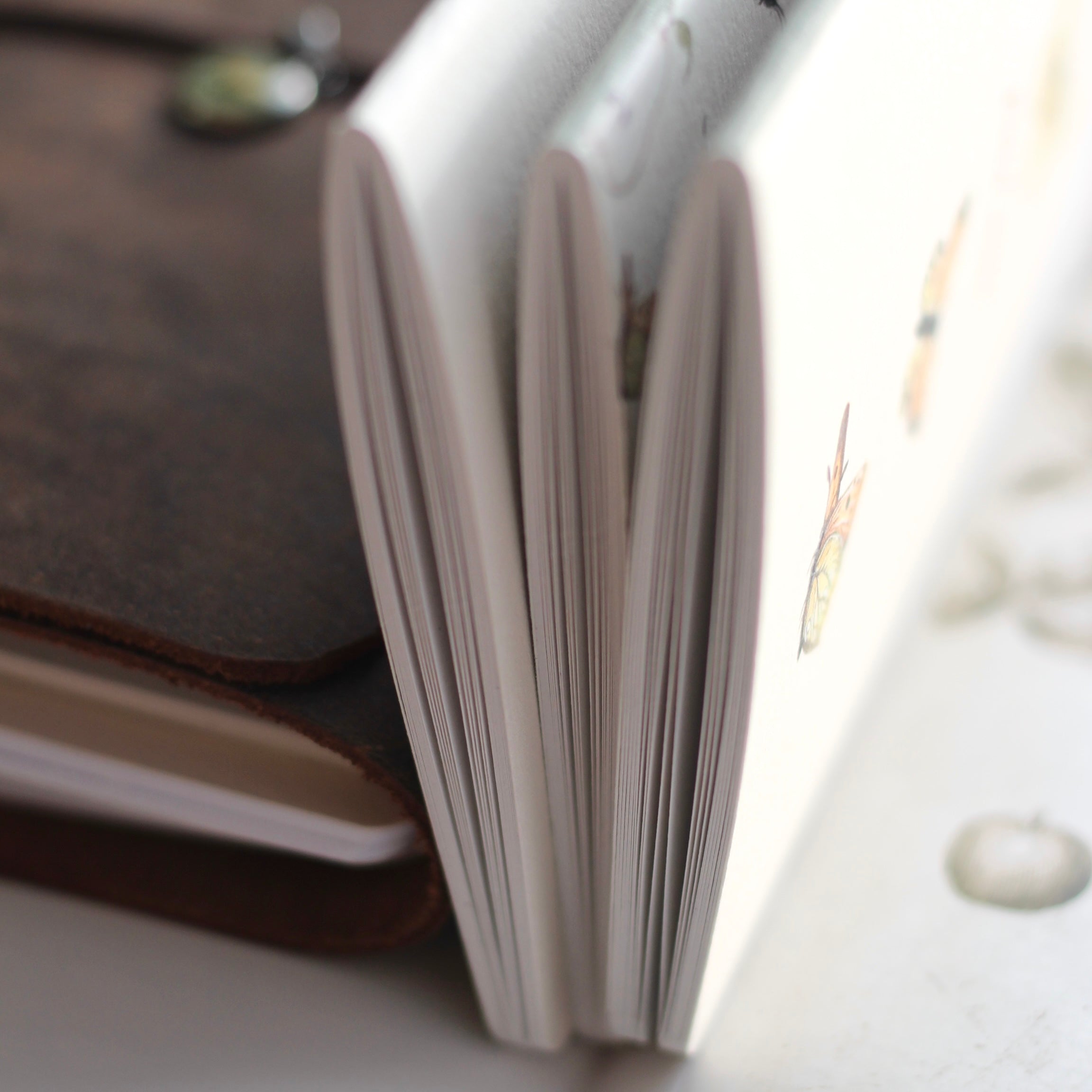 Mushroom Pocket Notebook