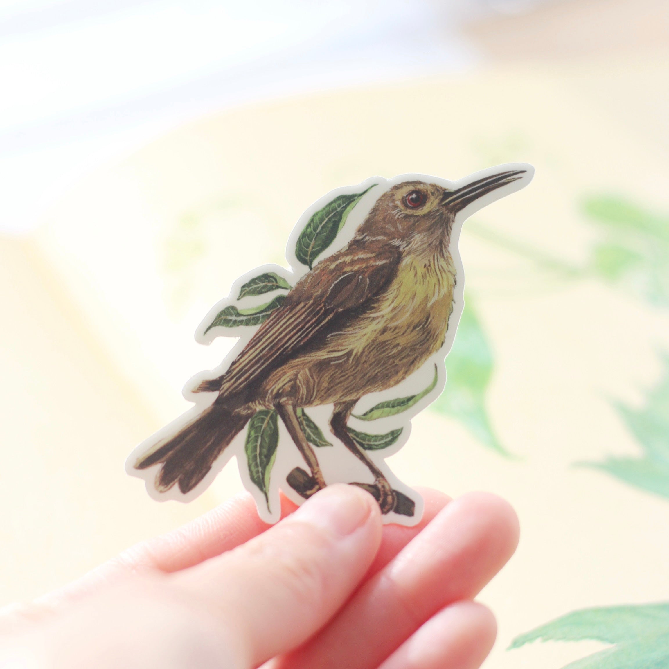 Sunbird Sticker