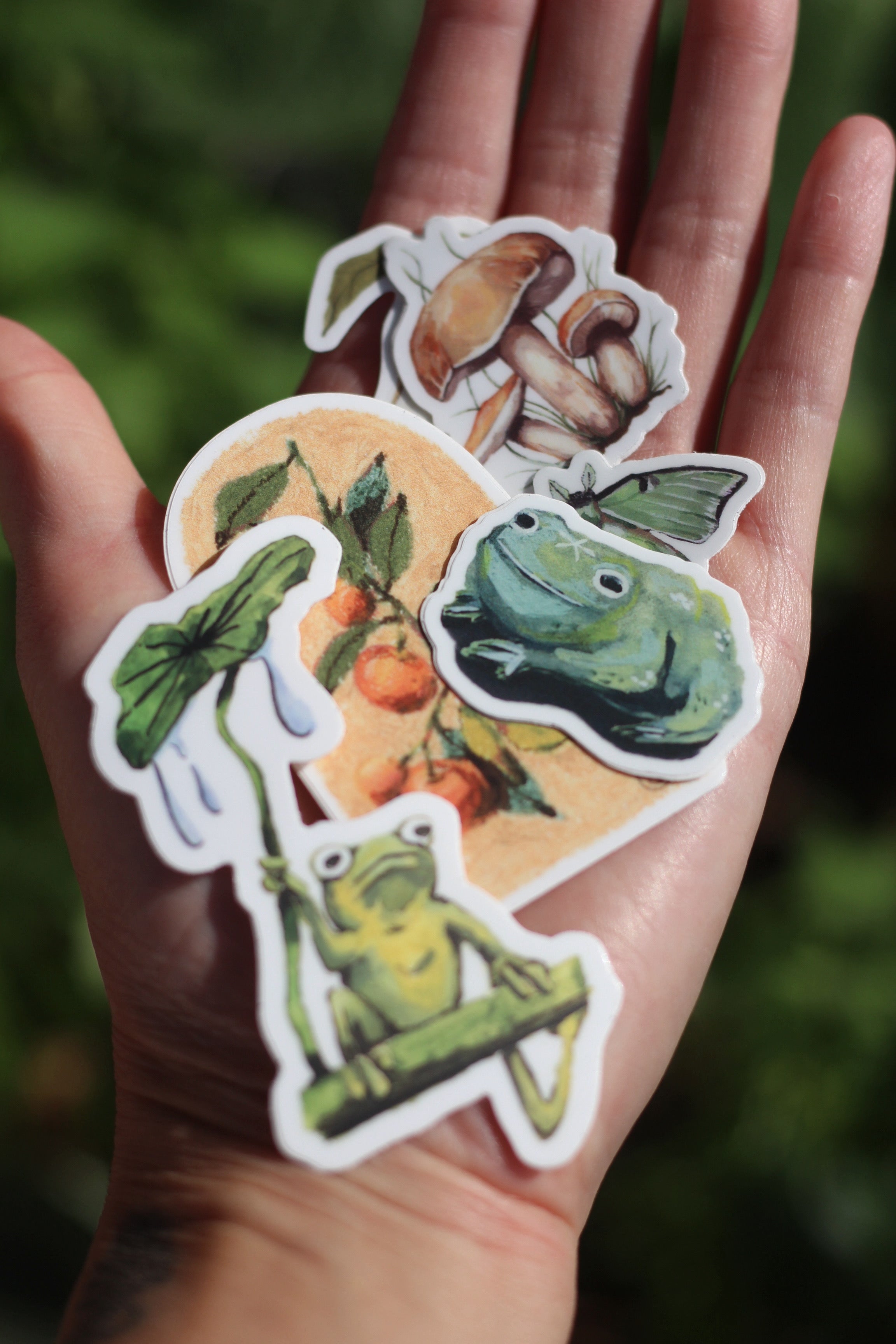 Set of 6 Stickers (shipping included)