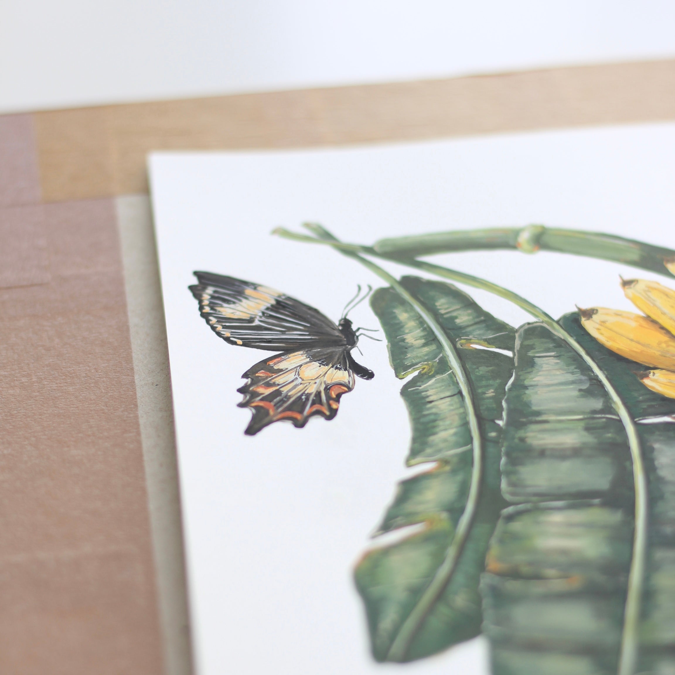 Banana Original (A4)