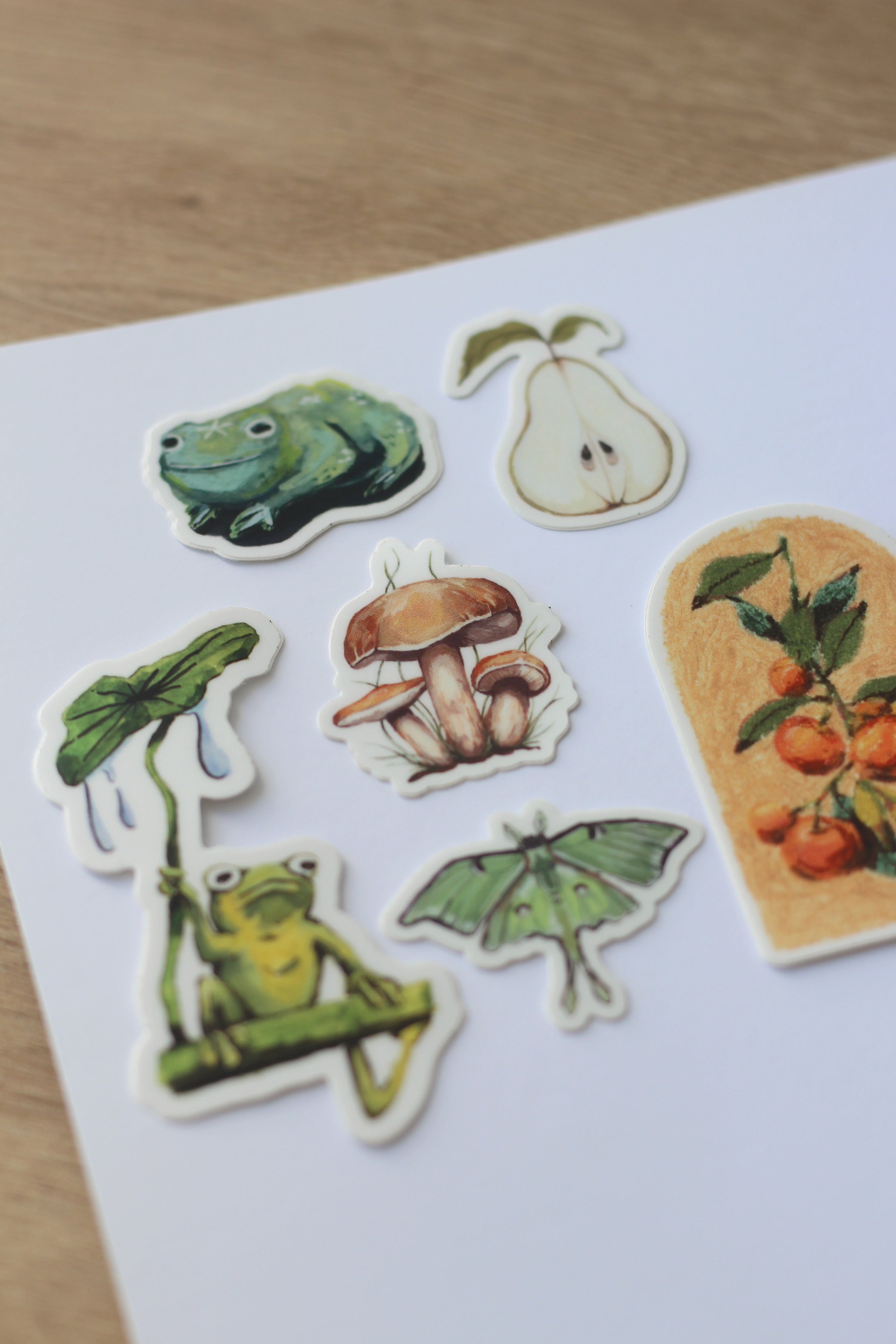 Set of 6 Stickers (shipping included)