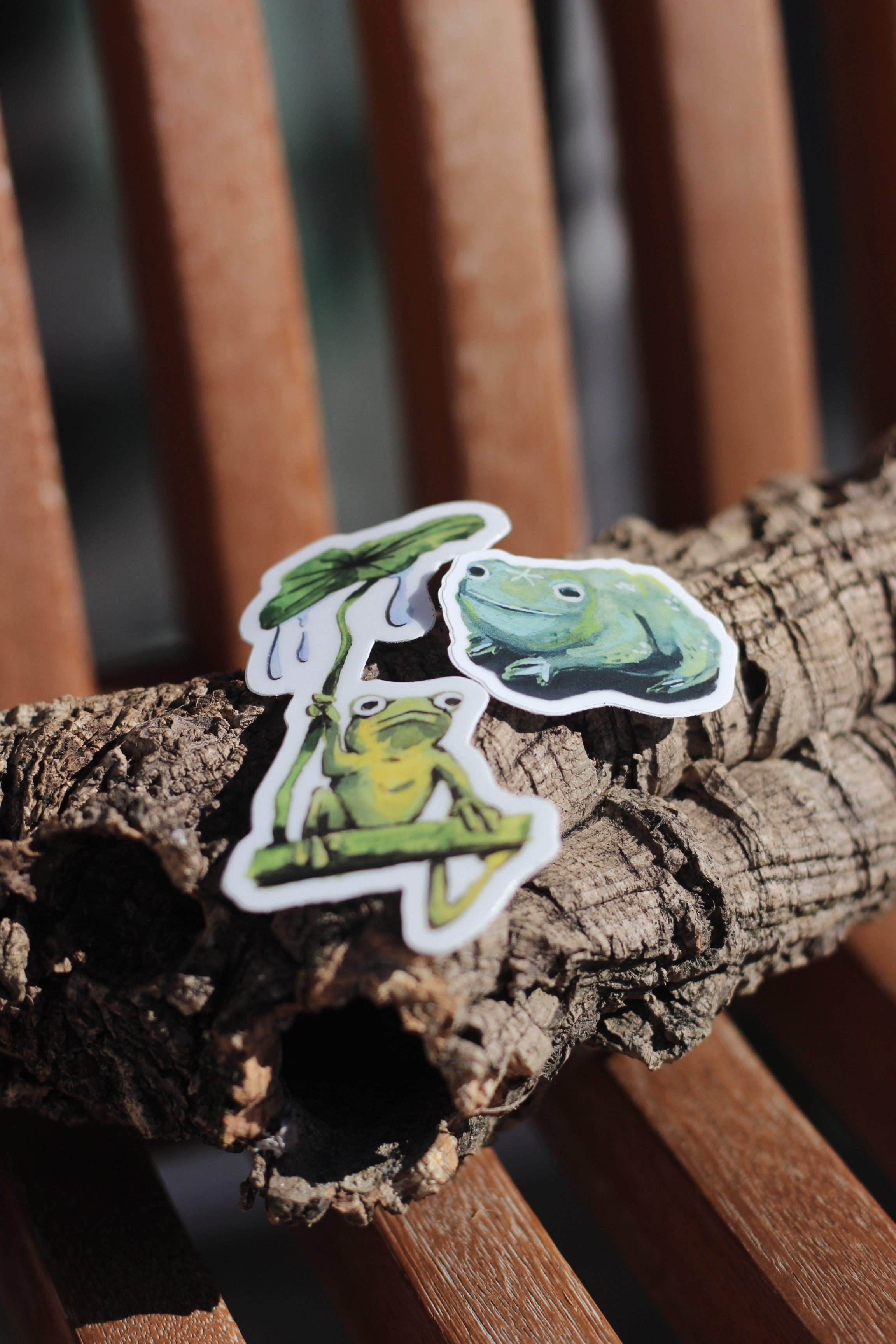 Set of 6 Stickers (shipping included)