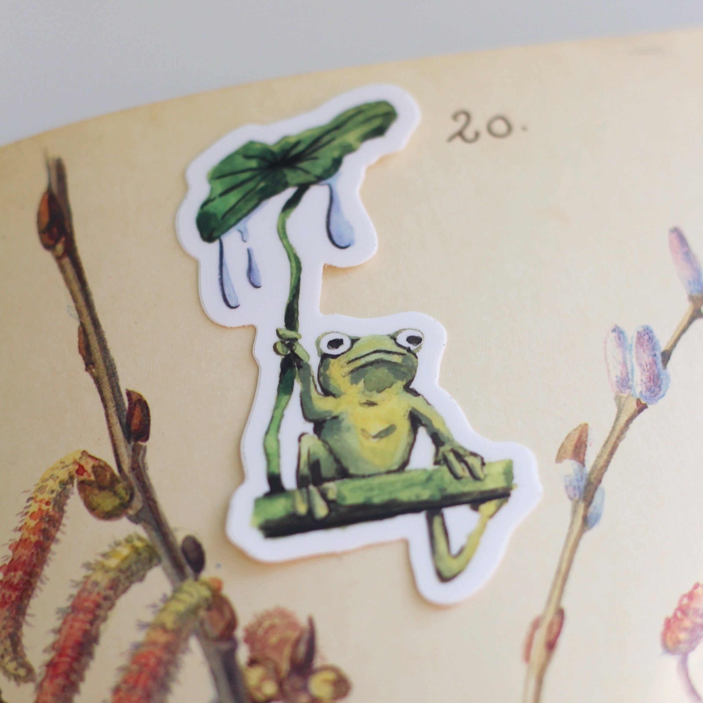 Moody Frog Sticker