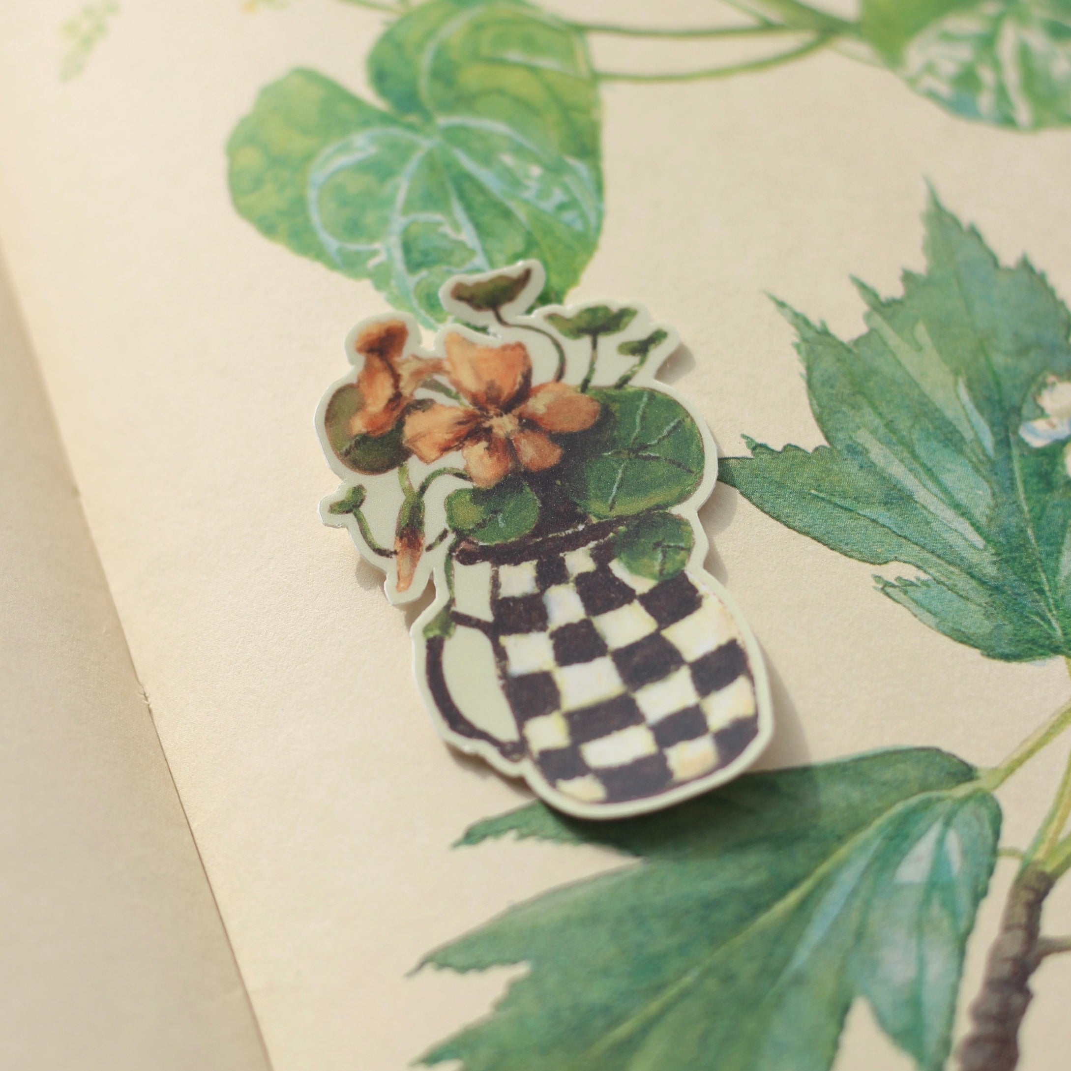 Nasturtium Jar Sticker