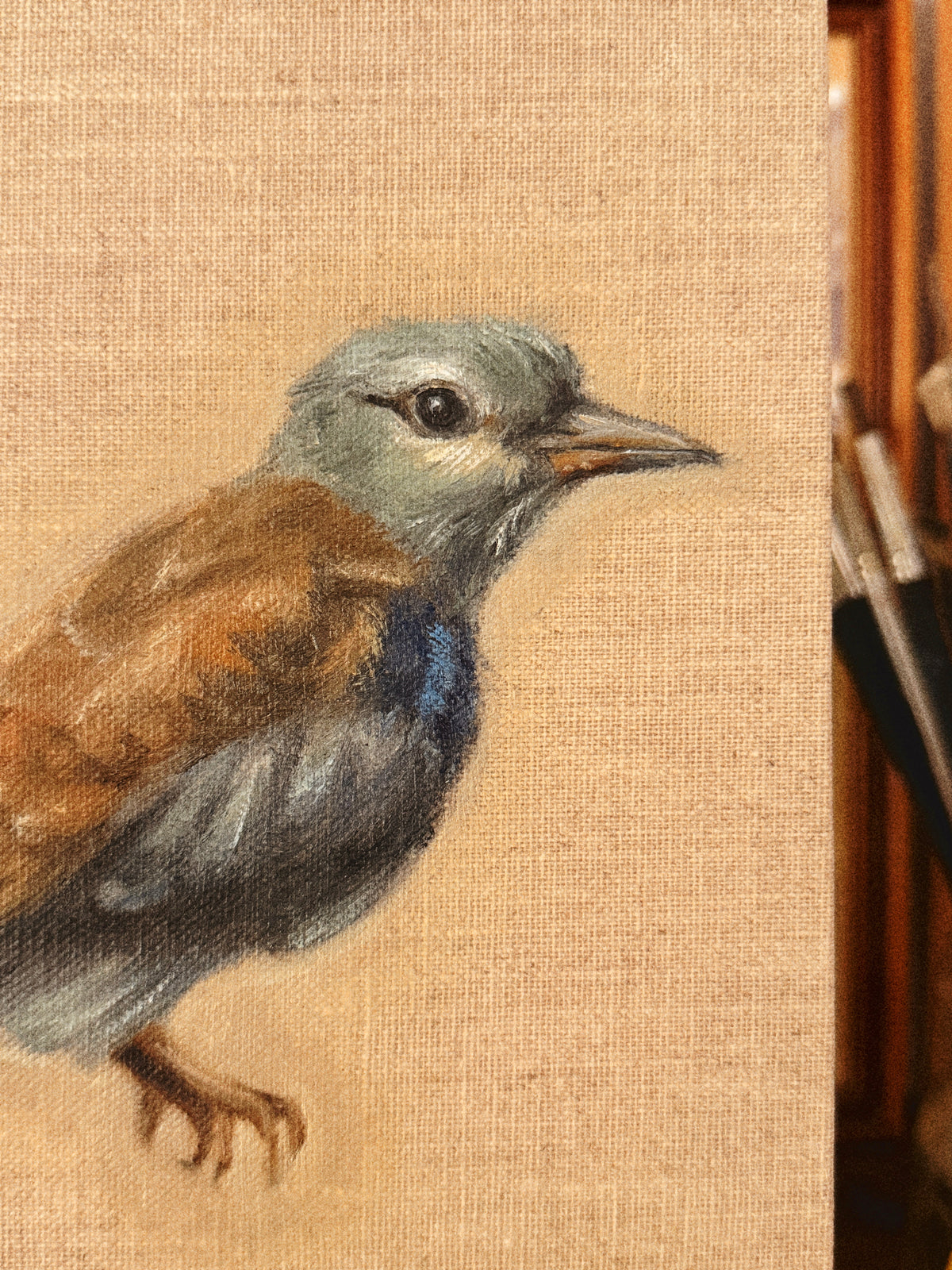 "the european roller" Original