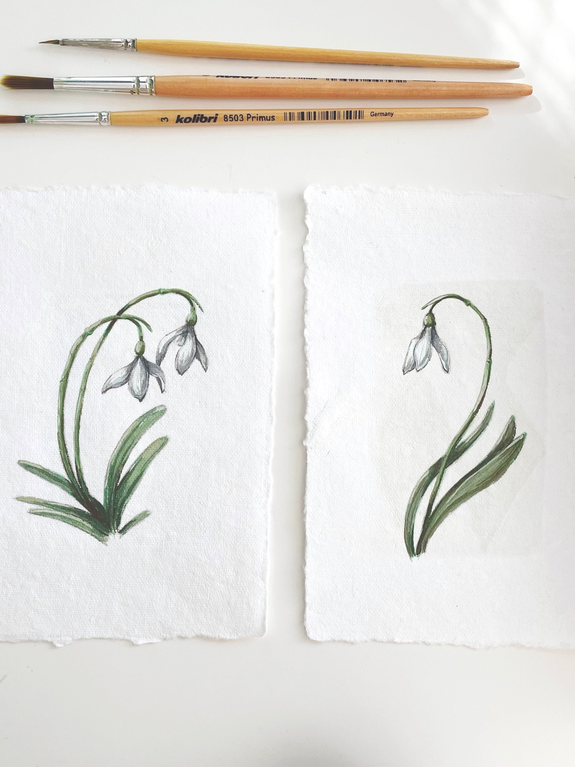 Snowdrop 01 & 02 Originals (A6)