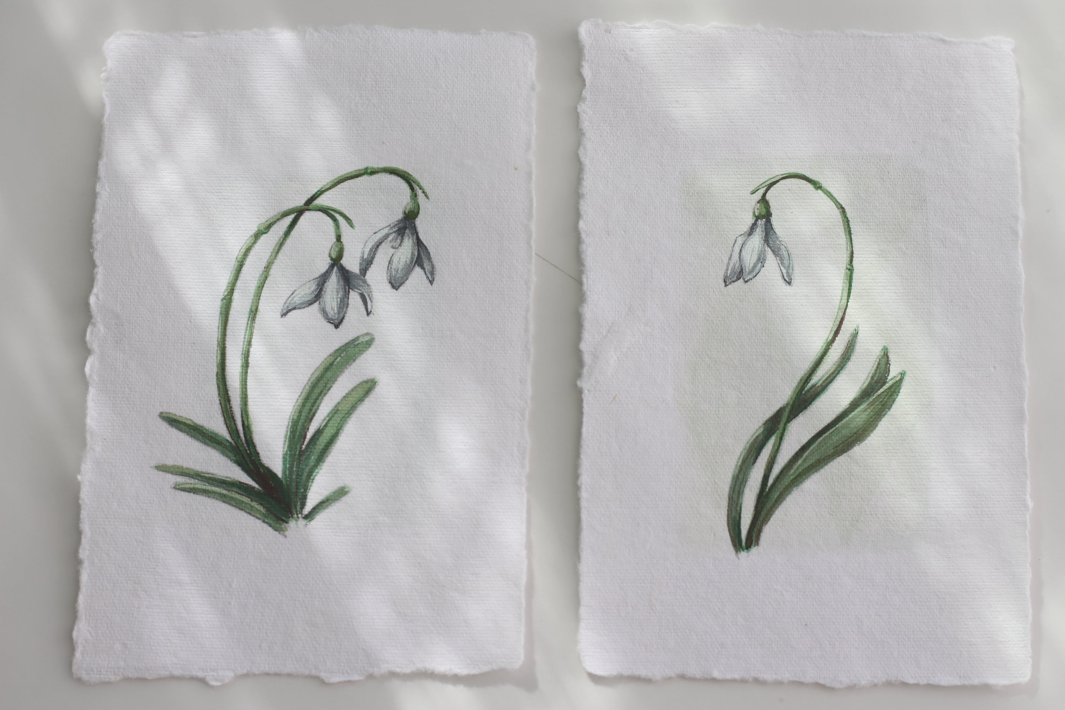 Snowdrop 01 & 02 Originals (A6)