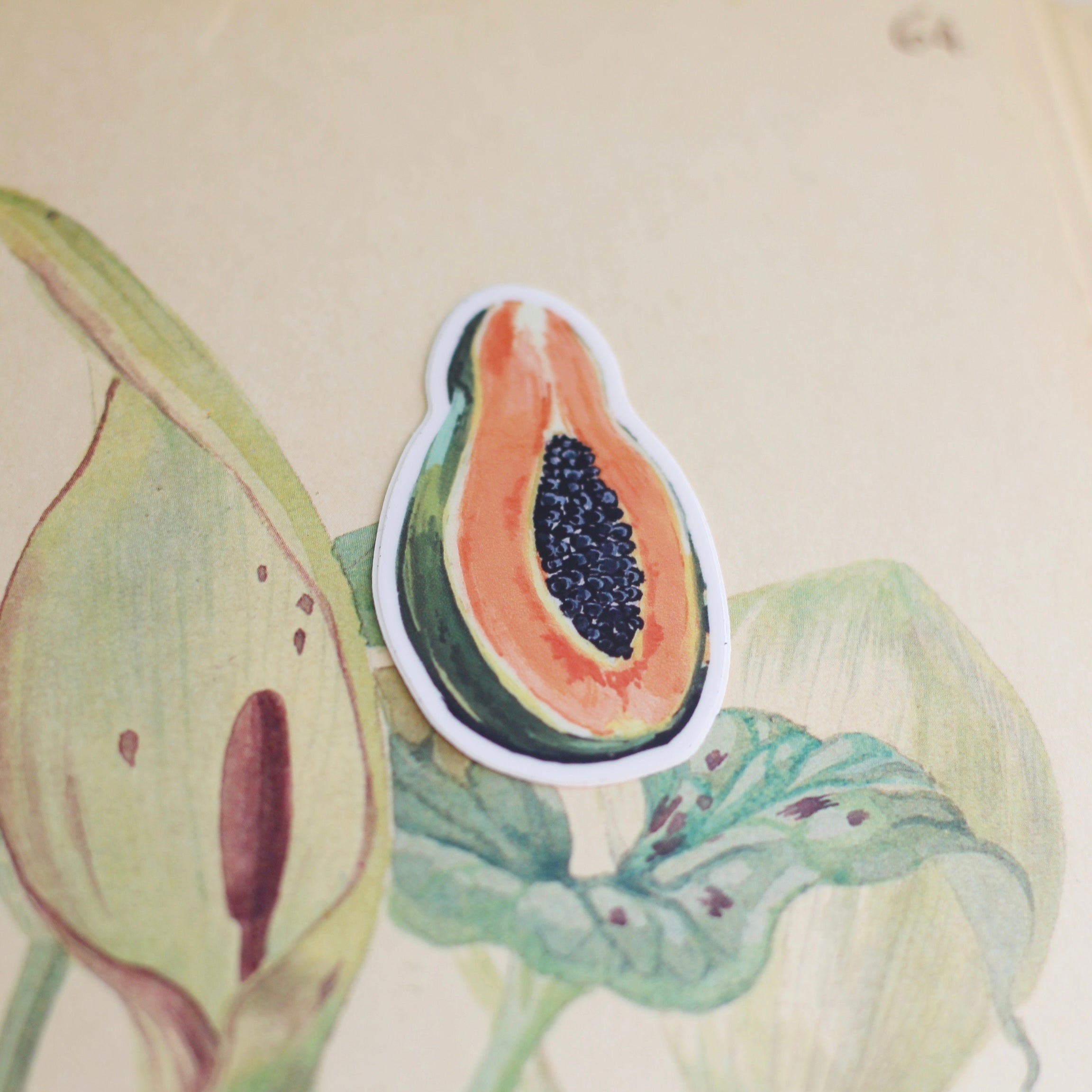 Papaya Sticker