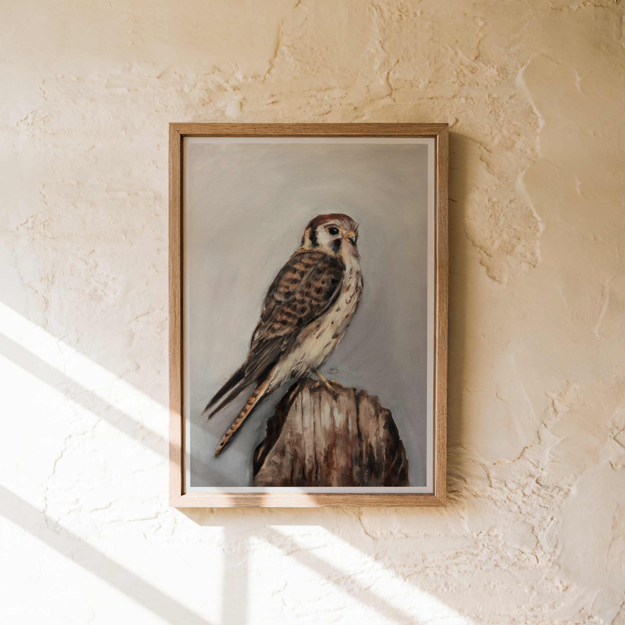 American Kestrel Print