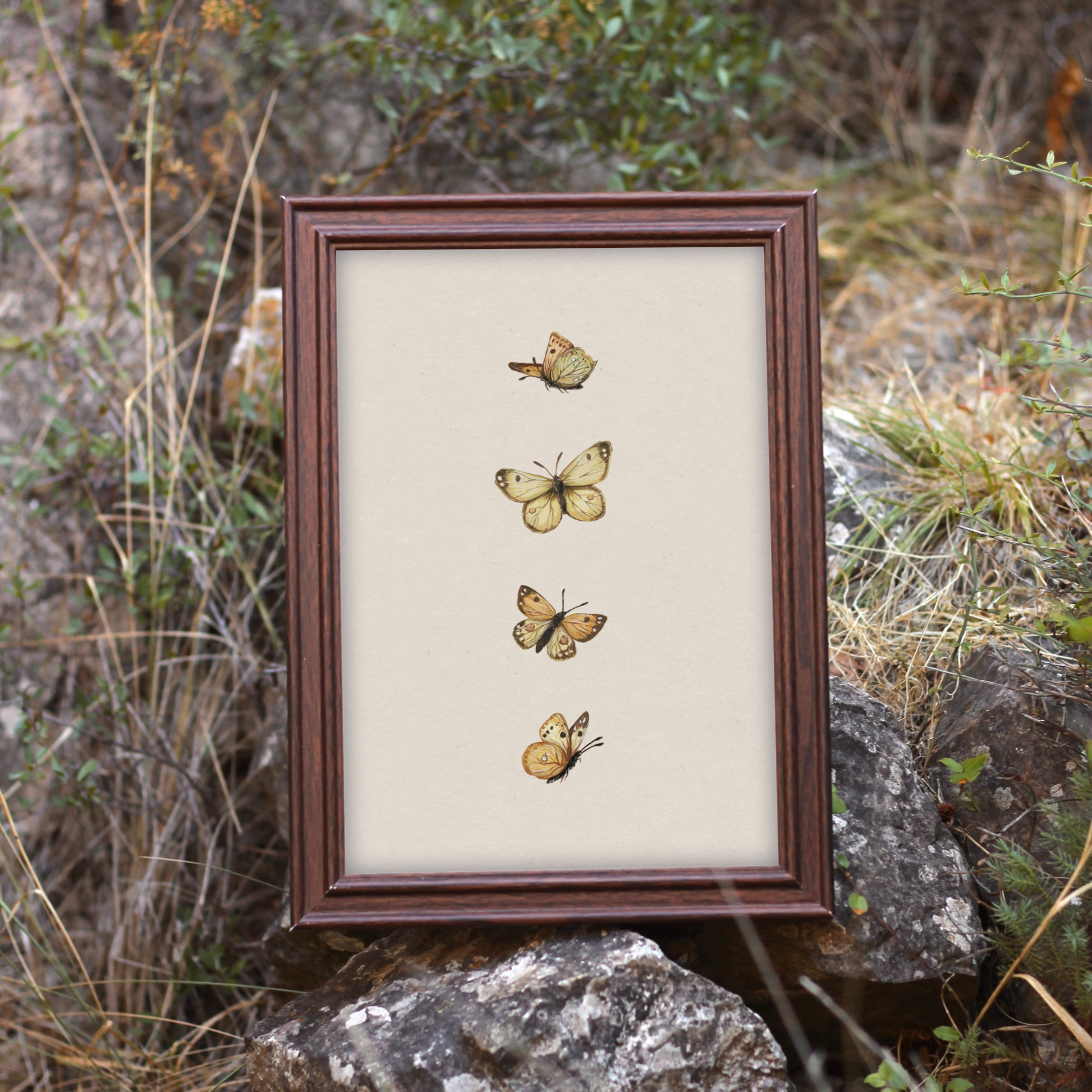 Butterflies Print