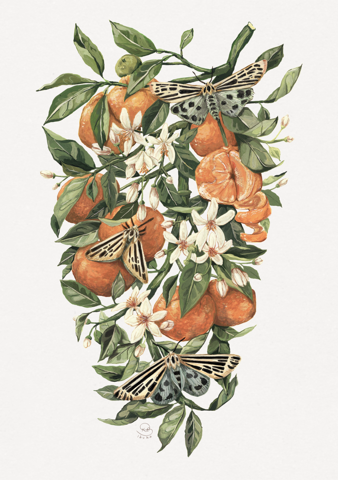Clementines & Moths Print