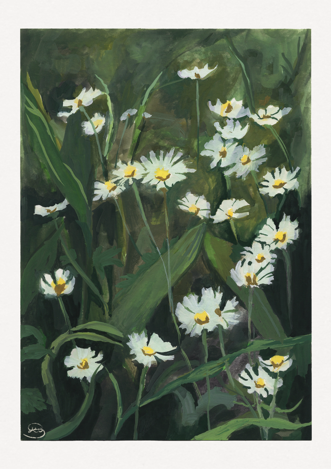 Daisy Fields 01 Print