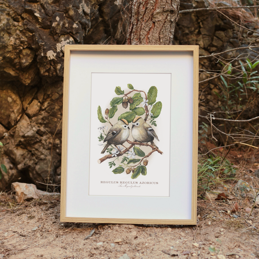 Earth Birds Print