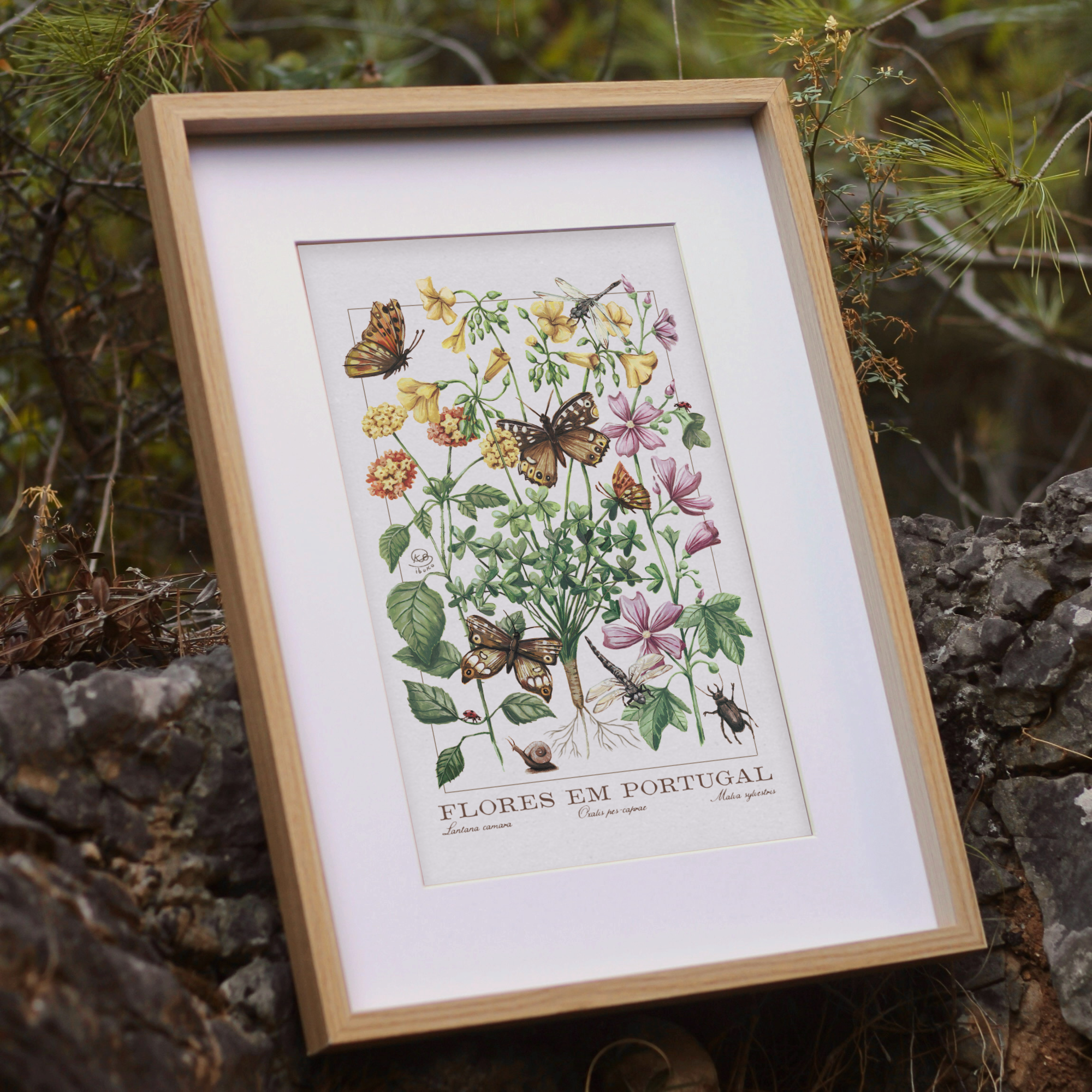 Flores em Portugal Print