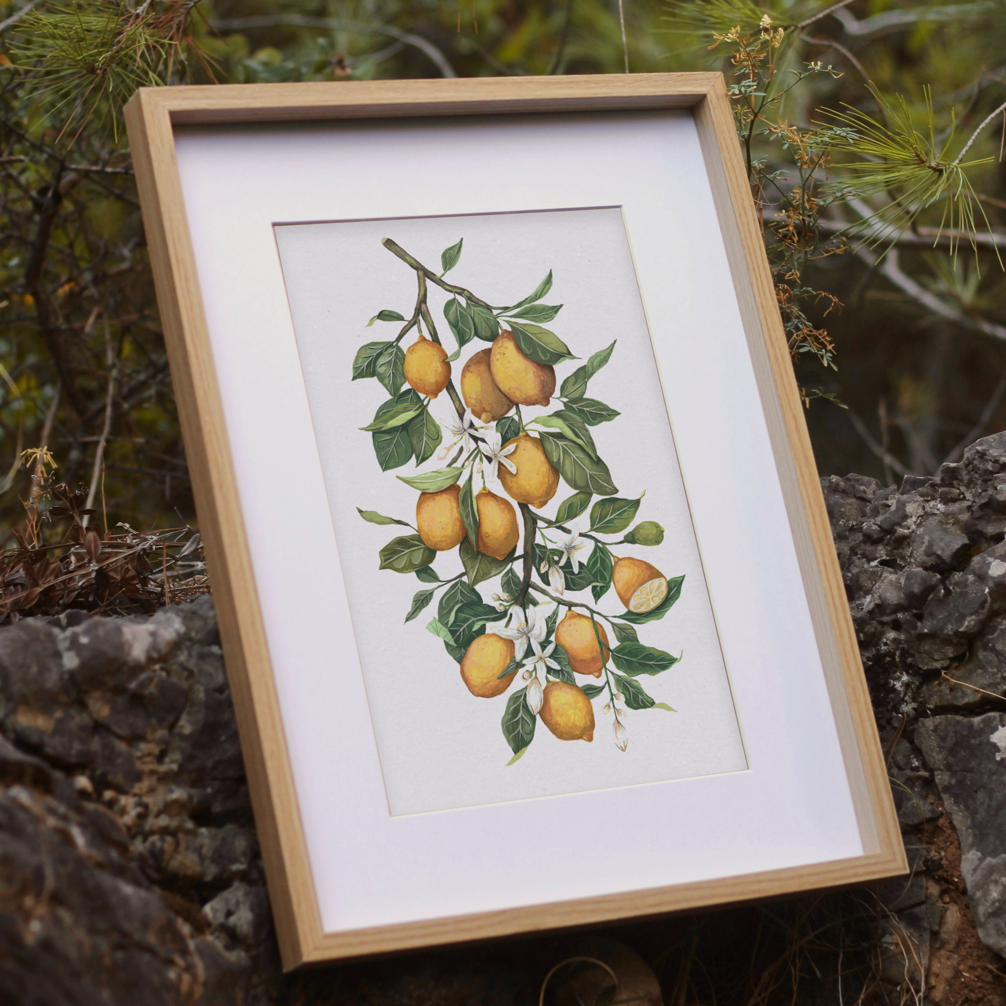 Lemon Branch Print