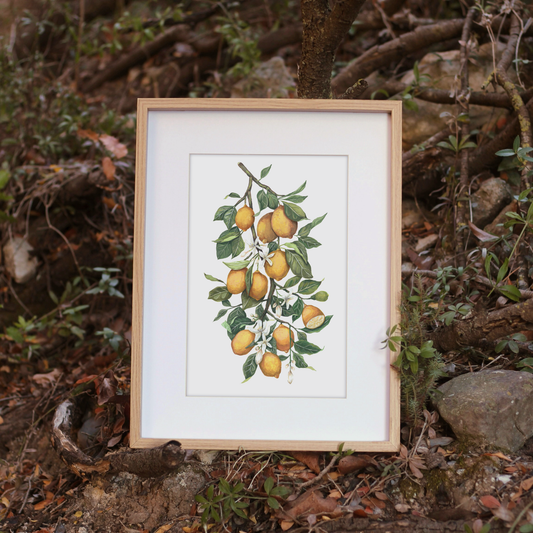 Lemon Branch Print