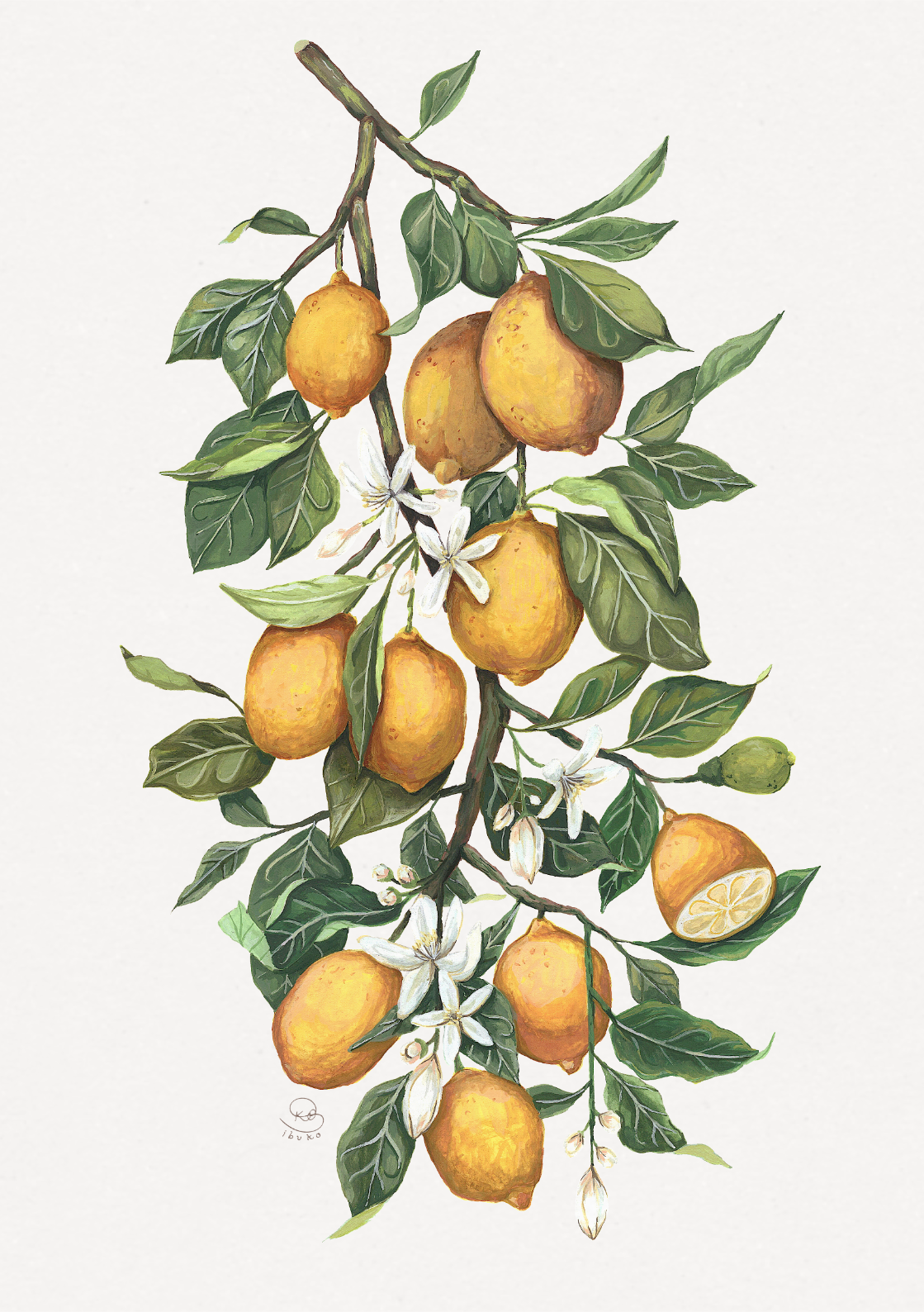 Lemon Branch Print