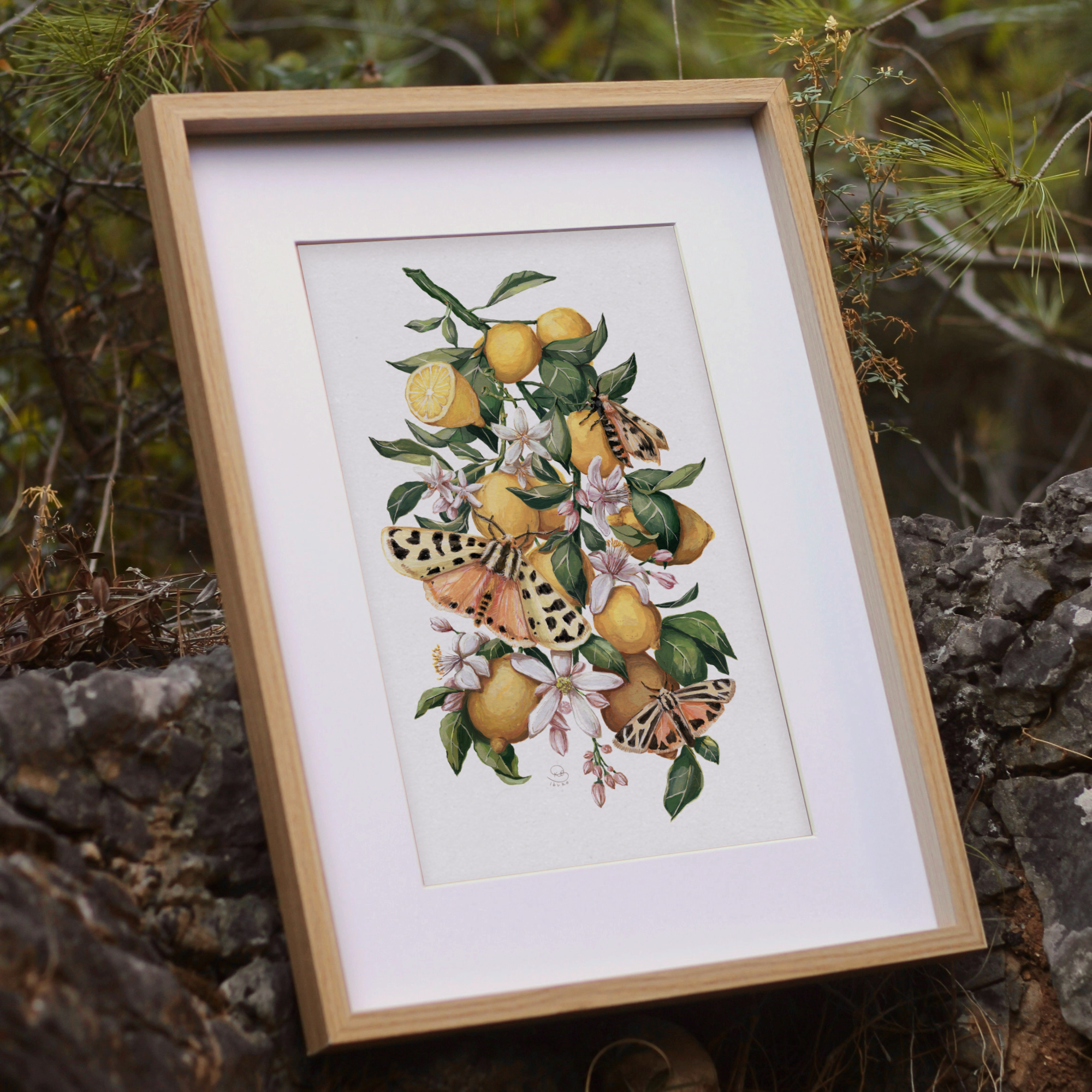 Lemons & Moths Print
