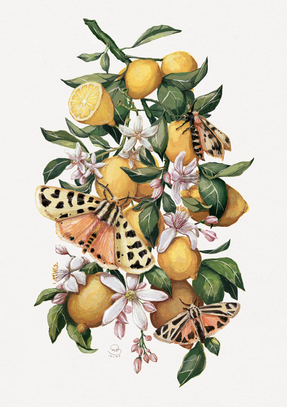 Lemons & Moths Print