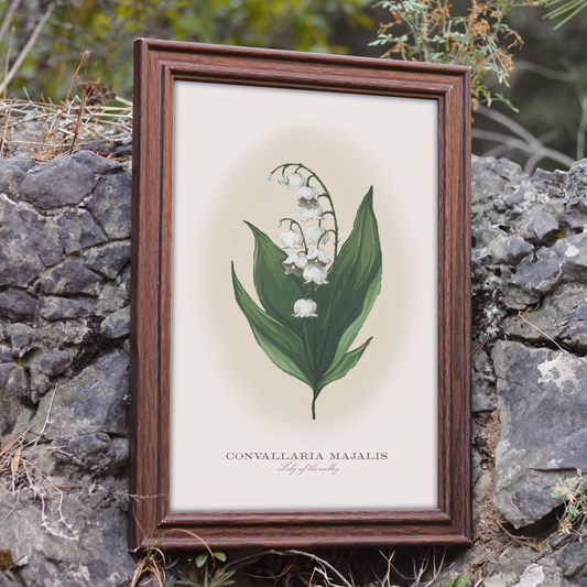 Lily-of-the-Valley Print