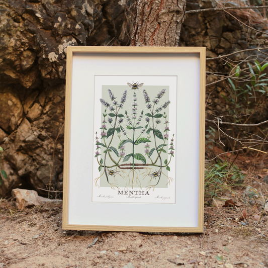 Mentha Print