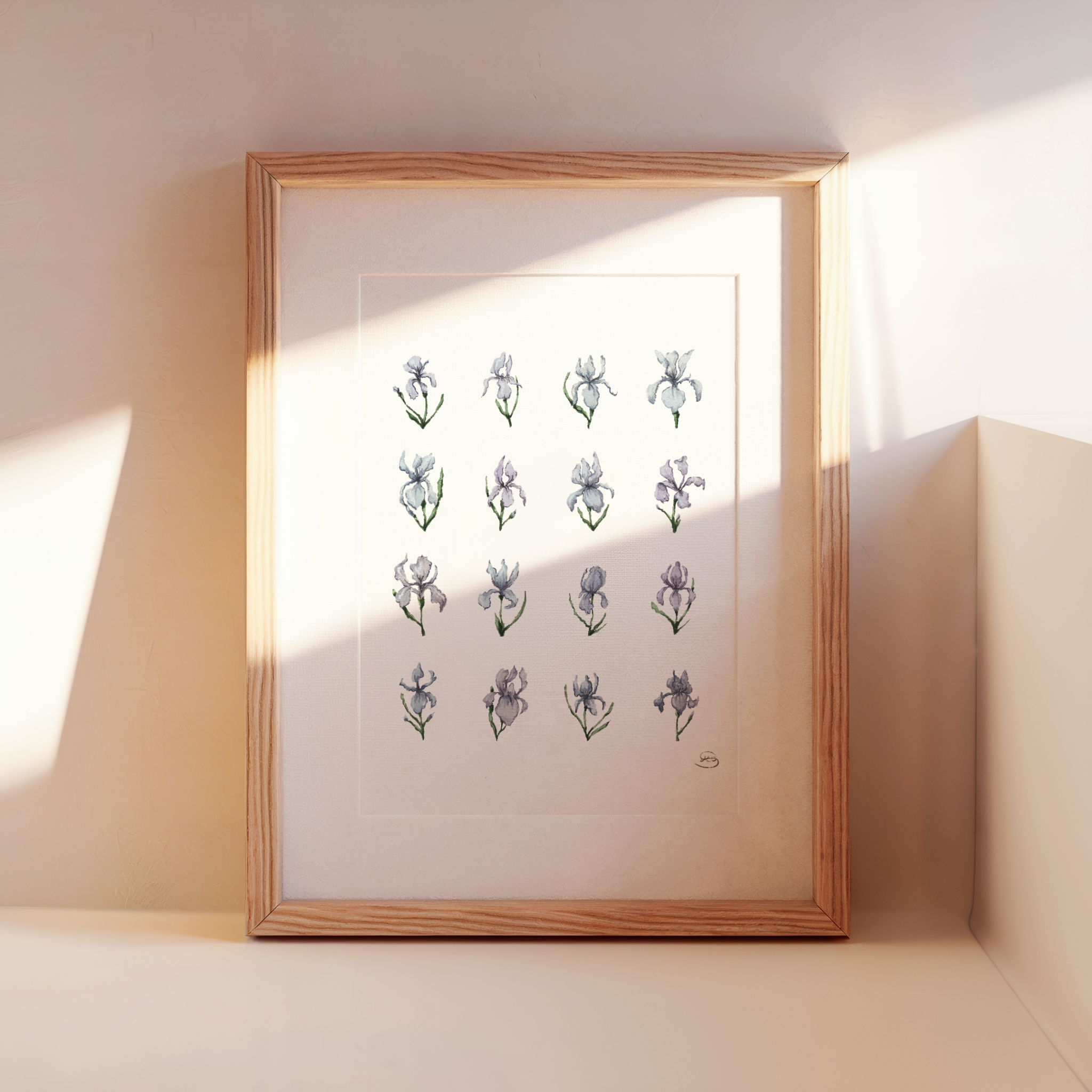 16 Irises Print
