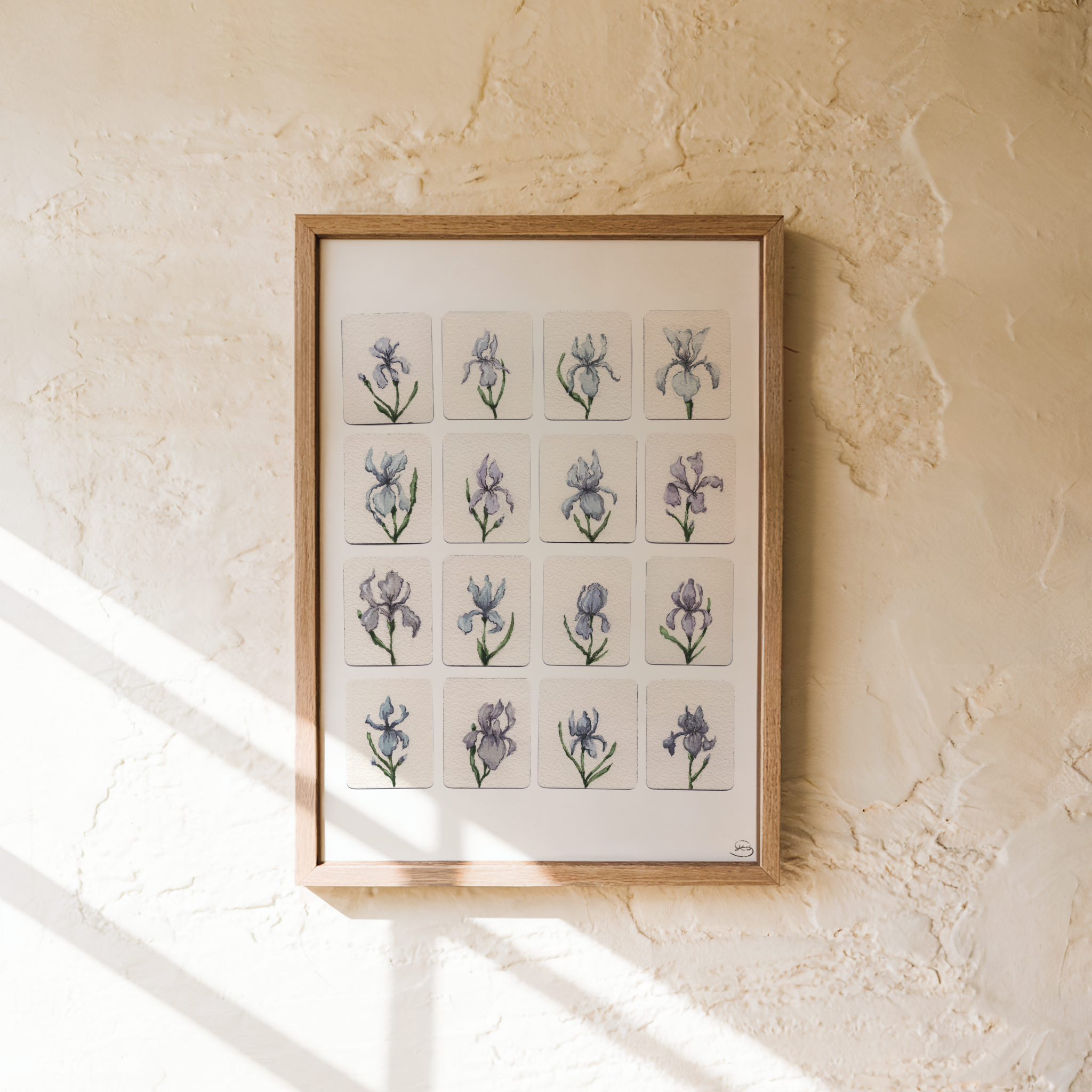16 Irises Print