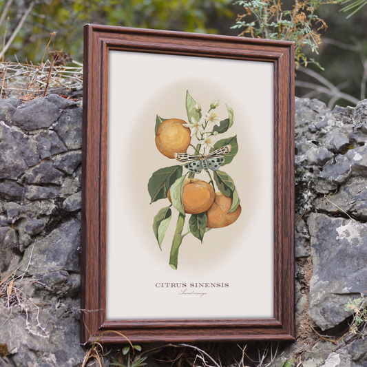 Orange Branch Print