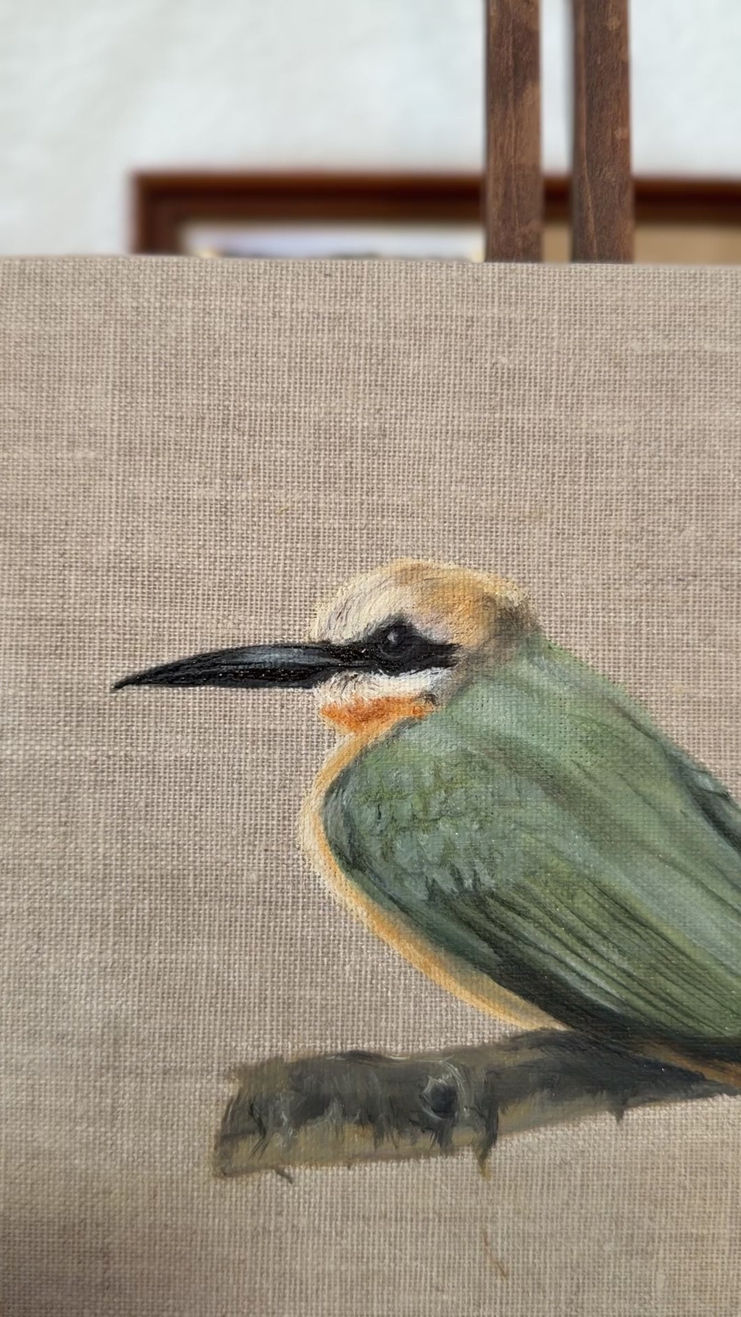 "the white-throated bee-eater" Original