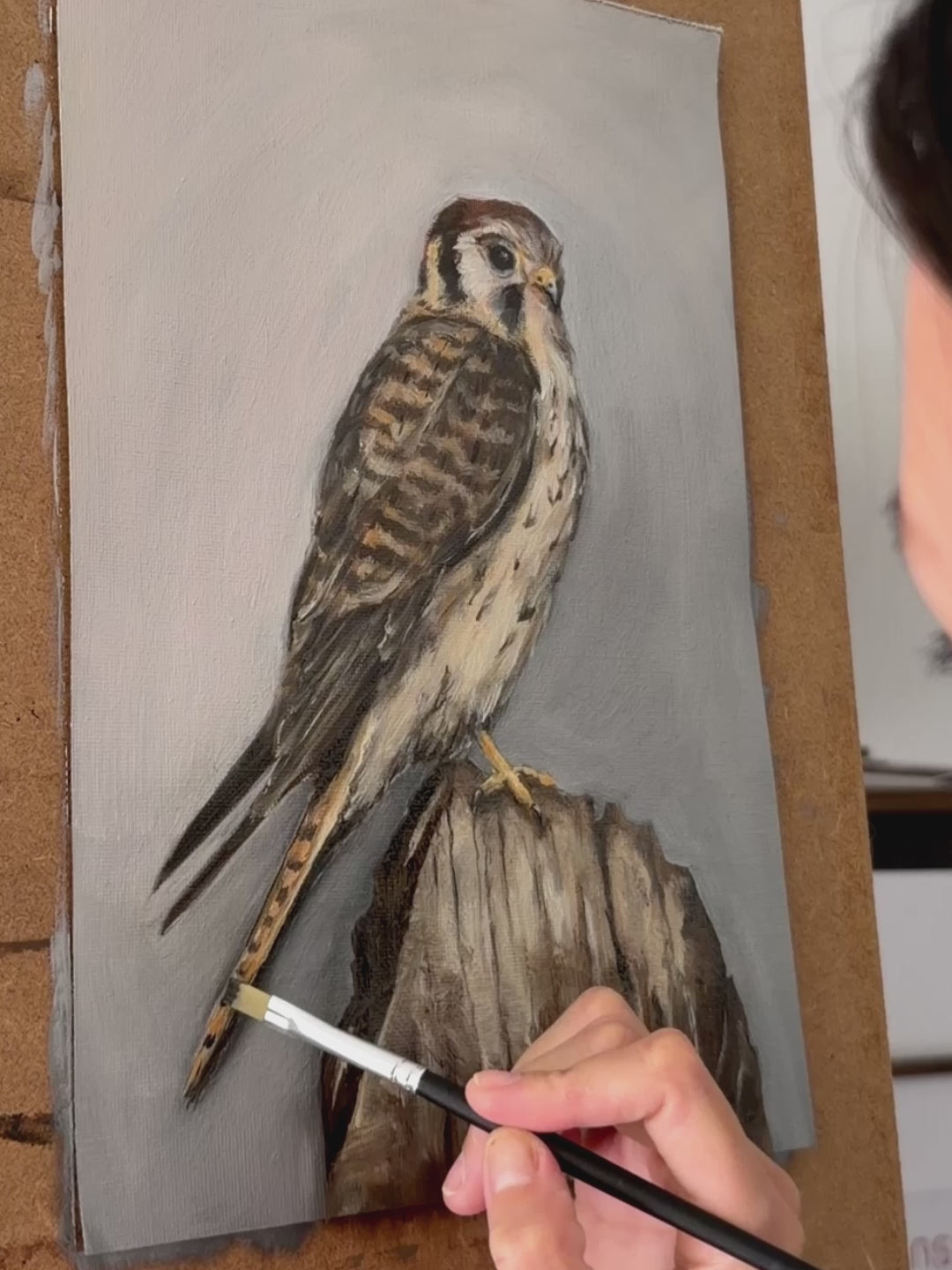 American Kestrel Print