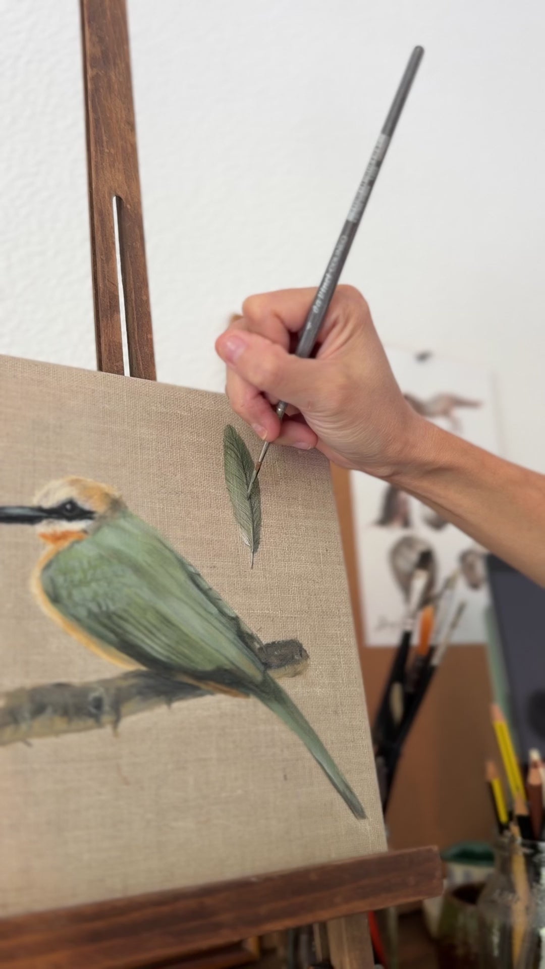 "the white-throated bee-eater" Original