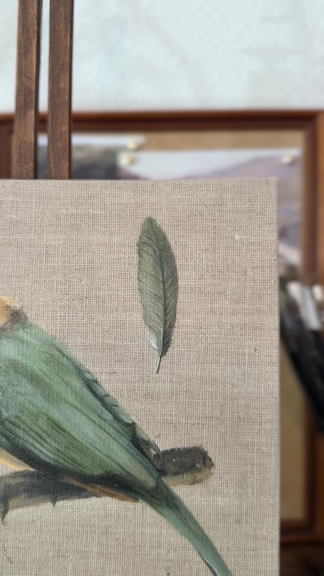 "the white-throated bee-eater" Original