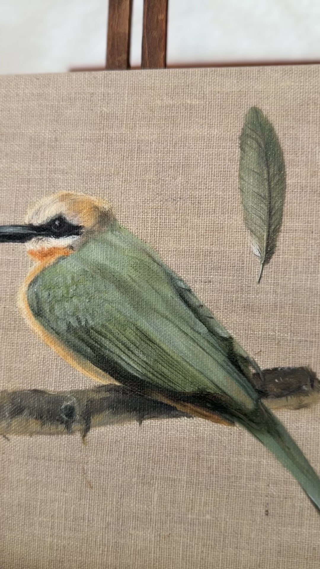 "the white-throated bee-eater" Original