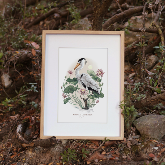 Water Bird Print