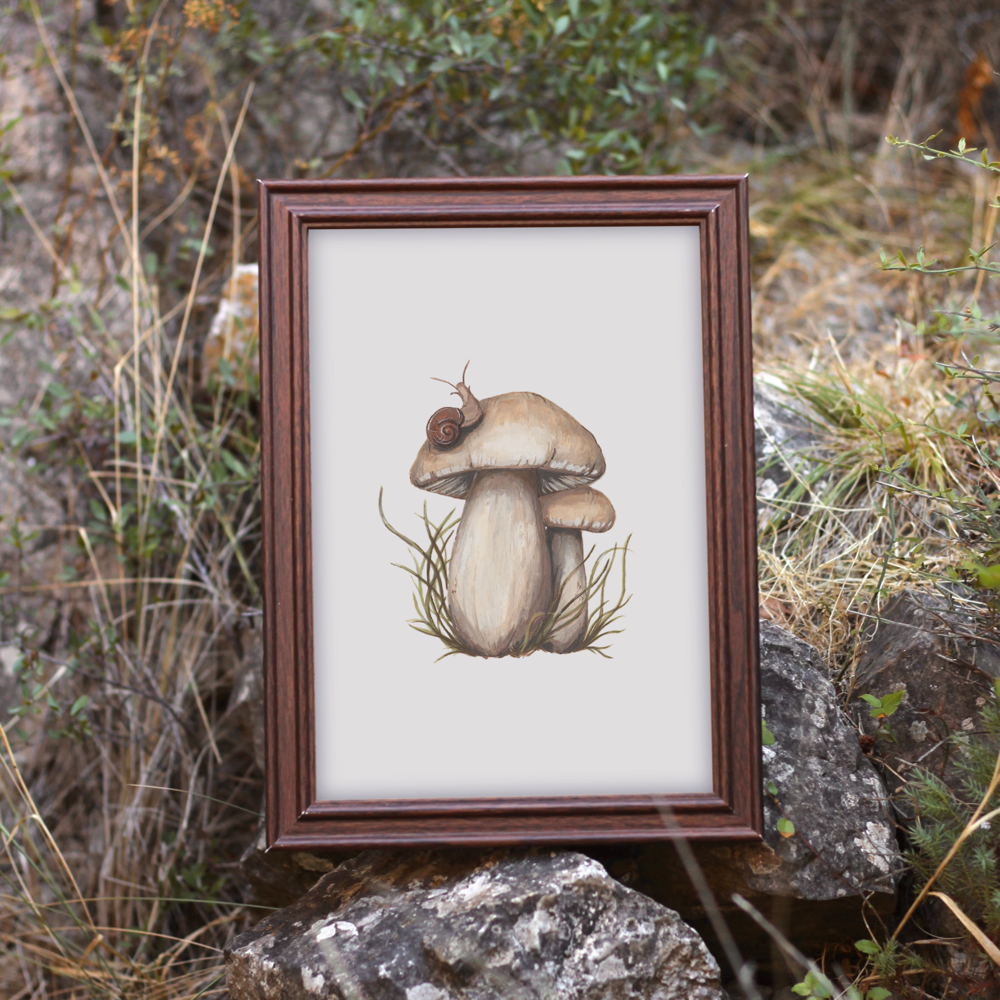 White King Bolete Print